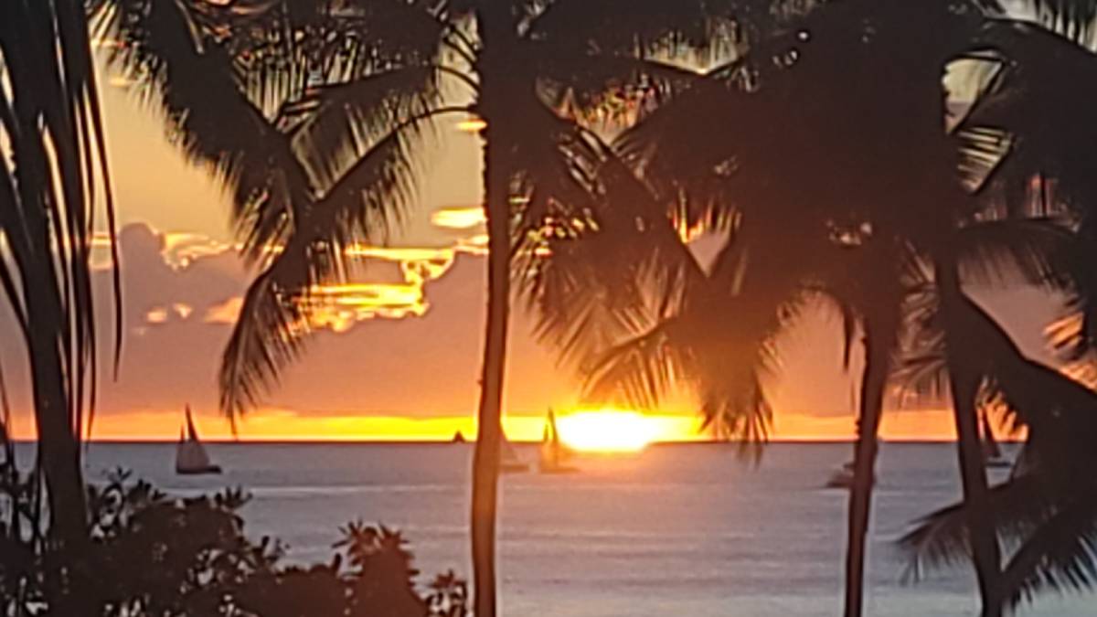 Elementor 2193 Jag Motorcoach