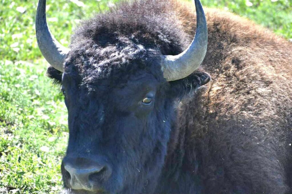 8 Days, 7 Nights, 14 Meals