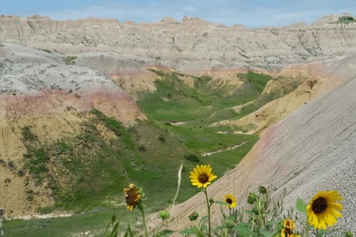 8 Days, 7 Nights, 14 Meals