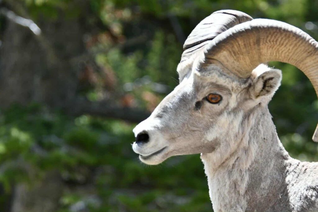 8 Days, 7 Nights, 14 Meals