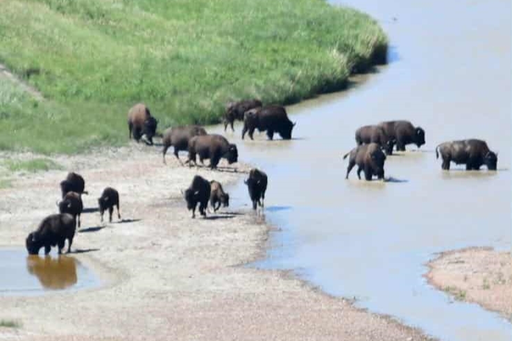 8 Days, 7 Nights, 14 Meals