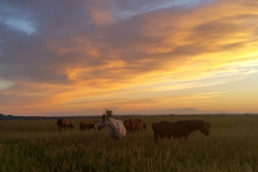 8 Days, 7 Nights, 14 Meals