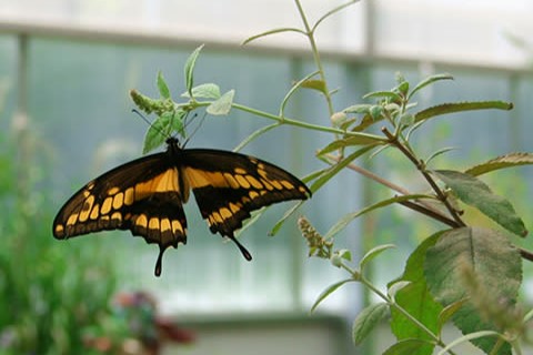 2 Days / 1 Night / 3 Meals