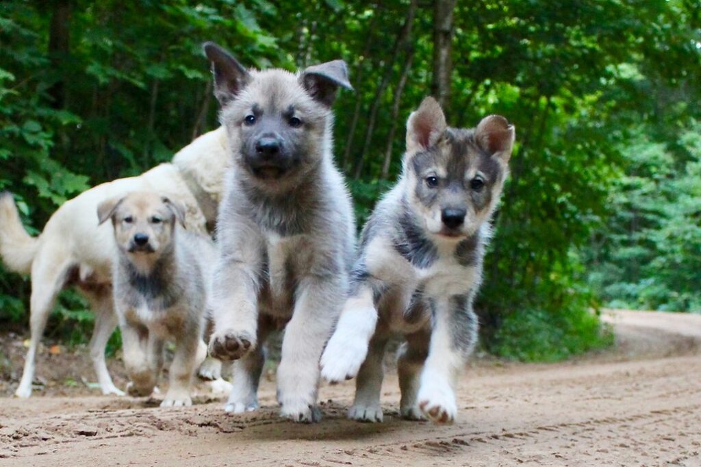 2 Days / 1 Night / 2 Meals