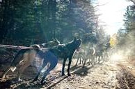 2 Days / 1 Night / 2 Meals